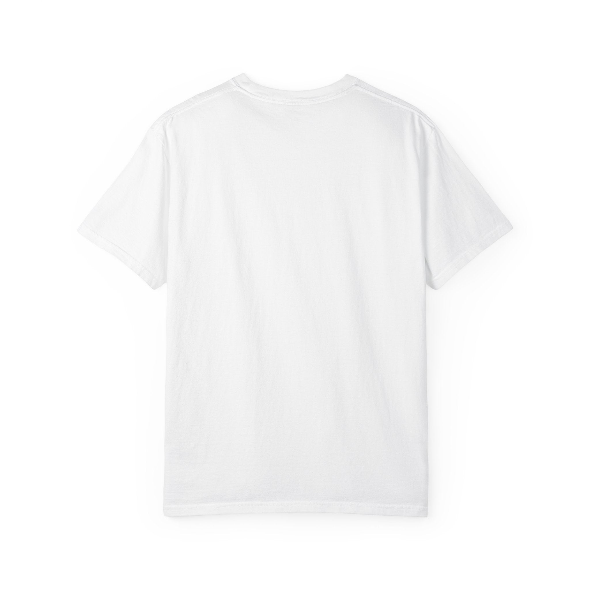 Downtown Austin Skyline Graphic T-Shirt